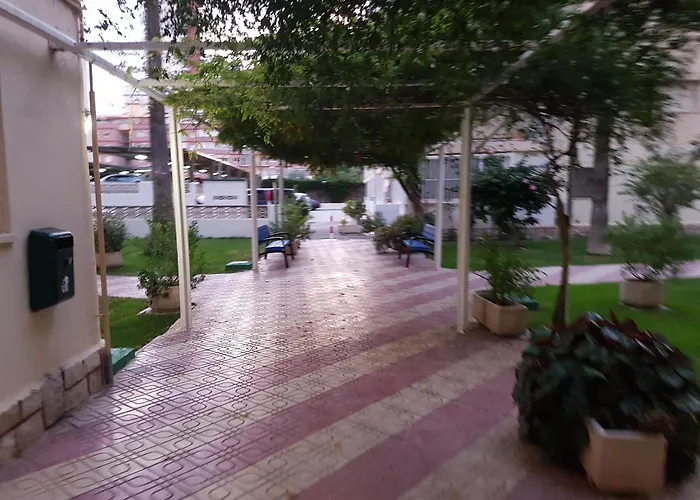 Pato Levante Deluxe Μπένιντορμ